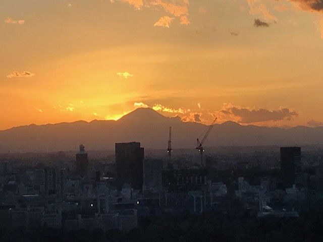 f:id:shins2m:20170130170041j:image f:id:shins2m:20170130170041j:image