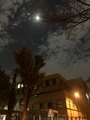 20191113221915