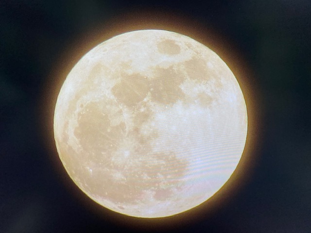 f:id:shins2m:20200705162743j:plain