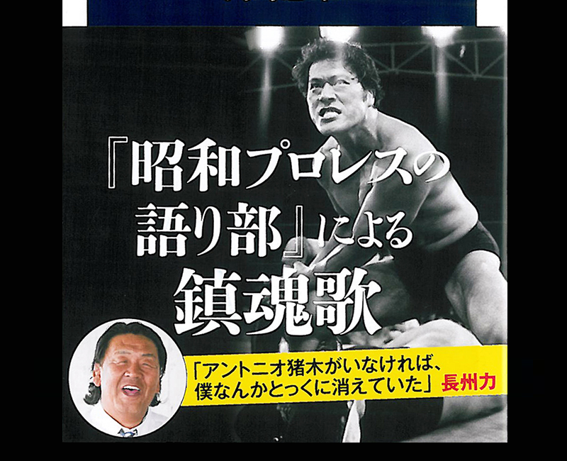 プロレス 週刊ファイト 1985年 猪木、新日本プロレス、タイガーマスク