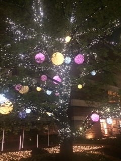 f:id:shinsadd:20210202131656j:plain