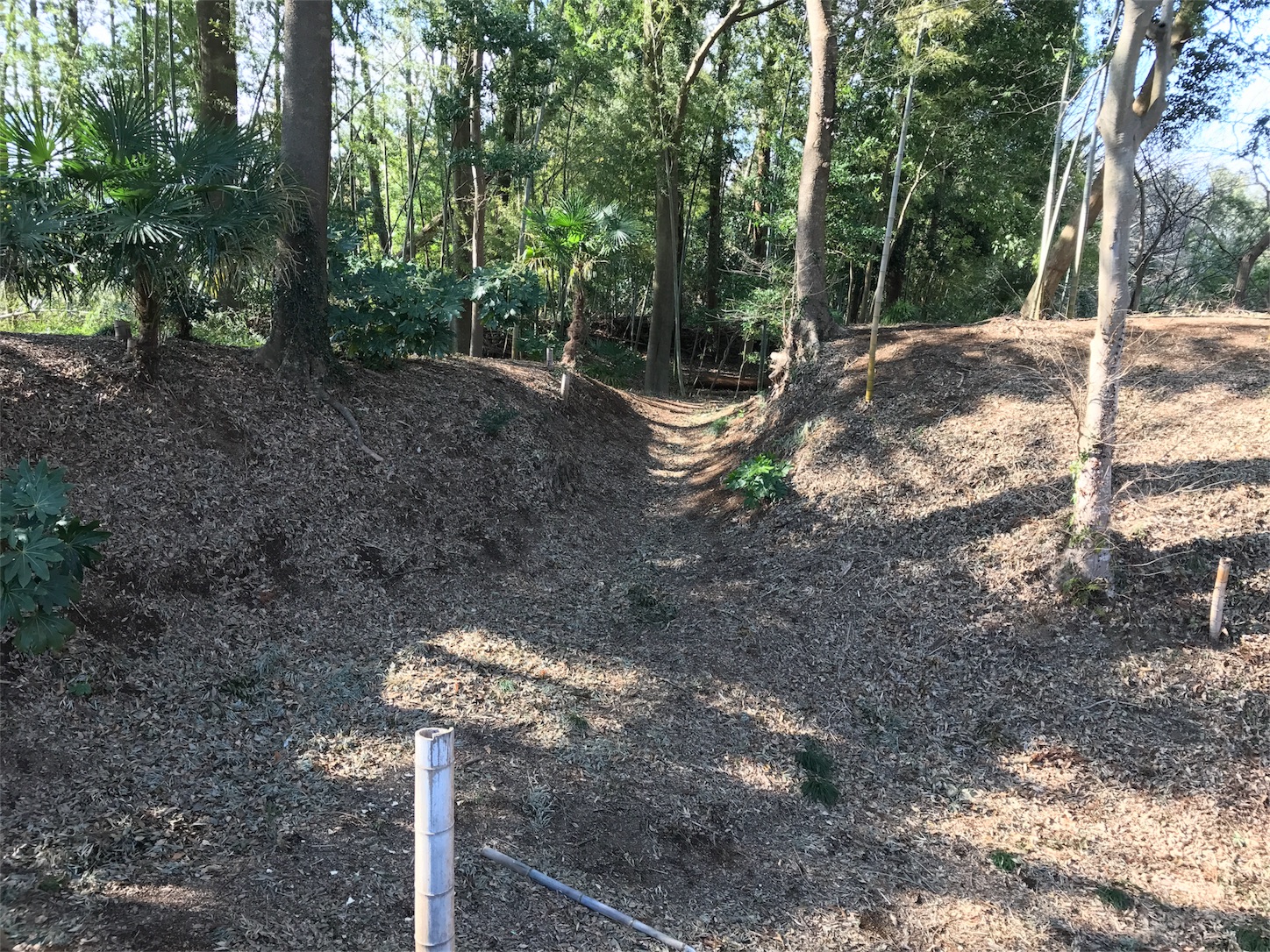 f:id:shinsaku1234t501:20170530205738j:image