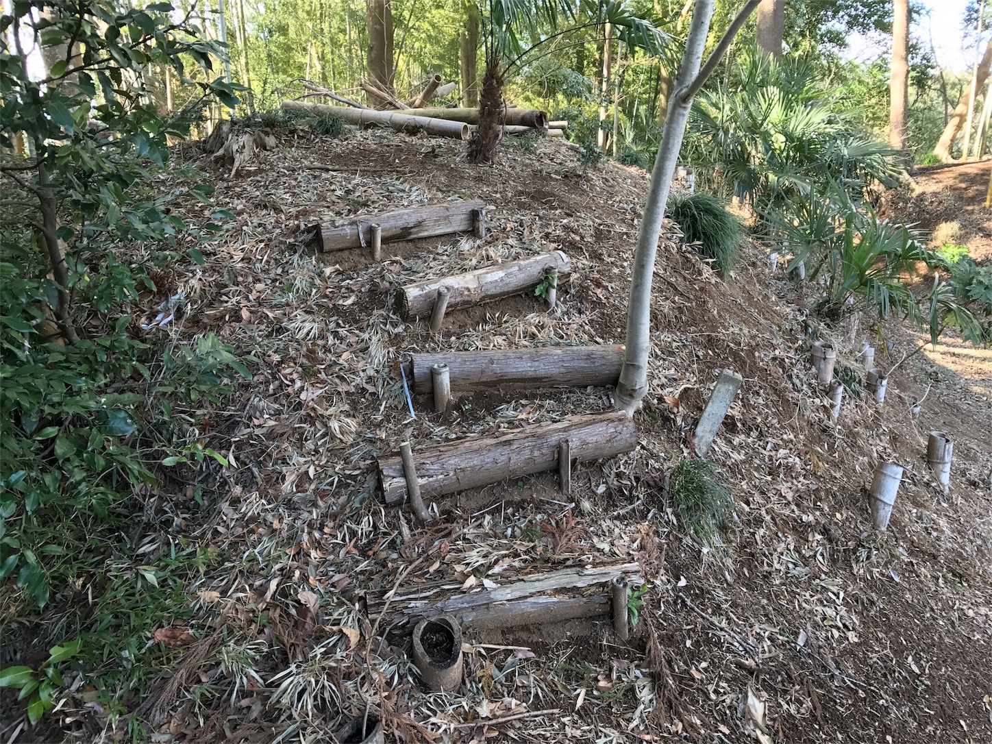 f:id:shinsaku1234t501:20170530205818j:image