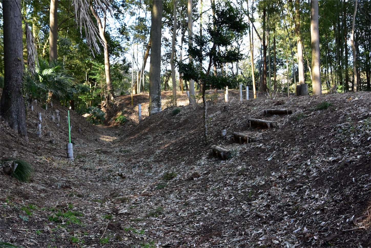 f:id:shinsaku1234t501:20170530210222j:image