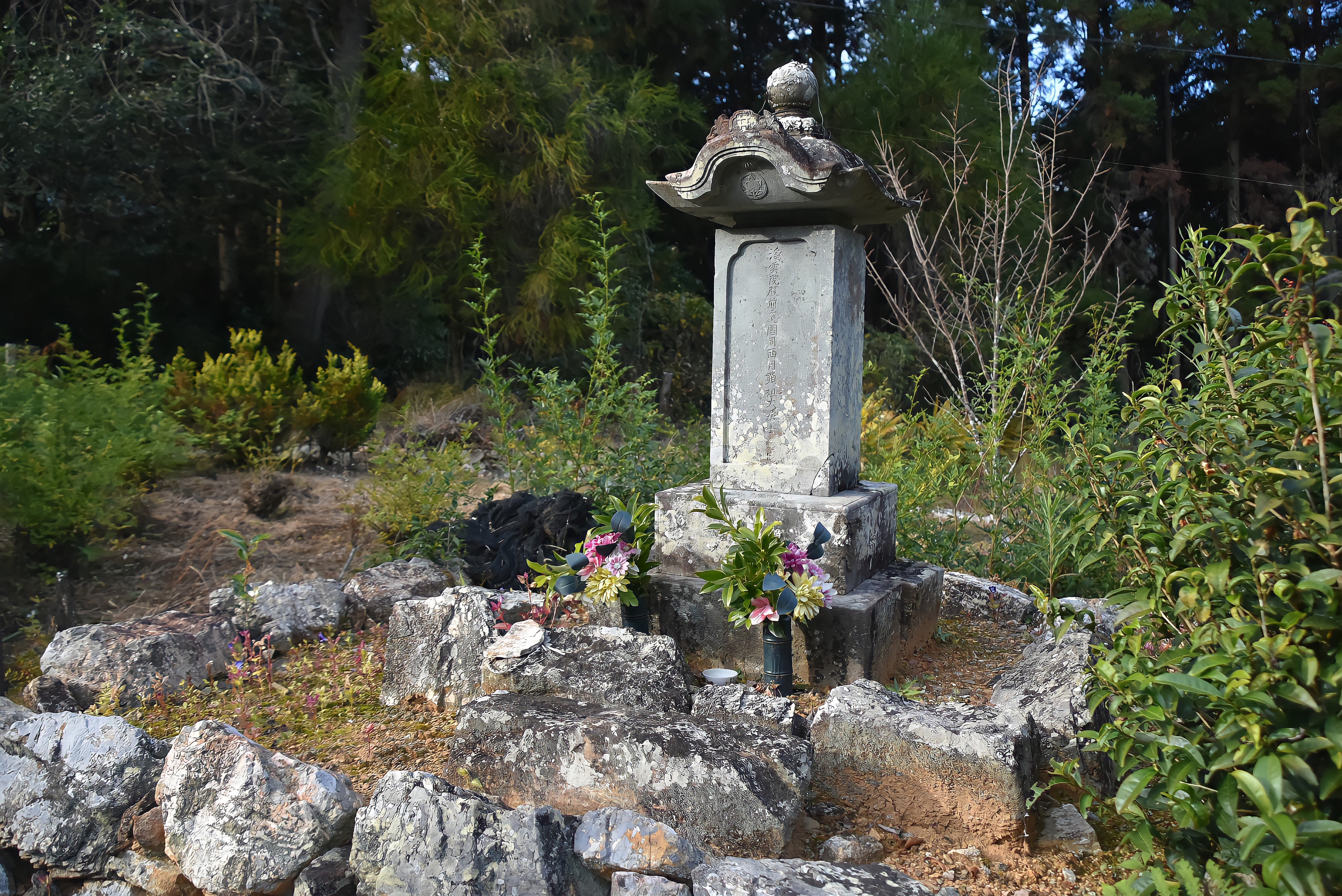 f:id:shinsaku1234t501:20201122183202j:image