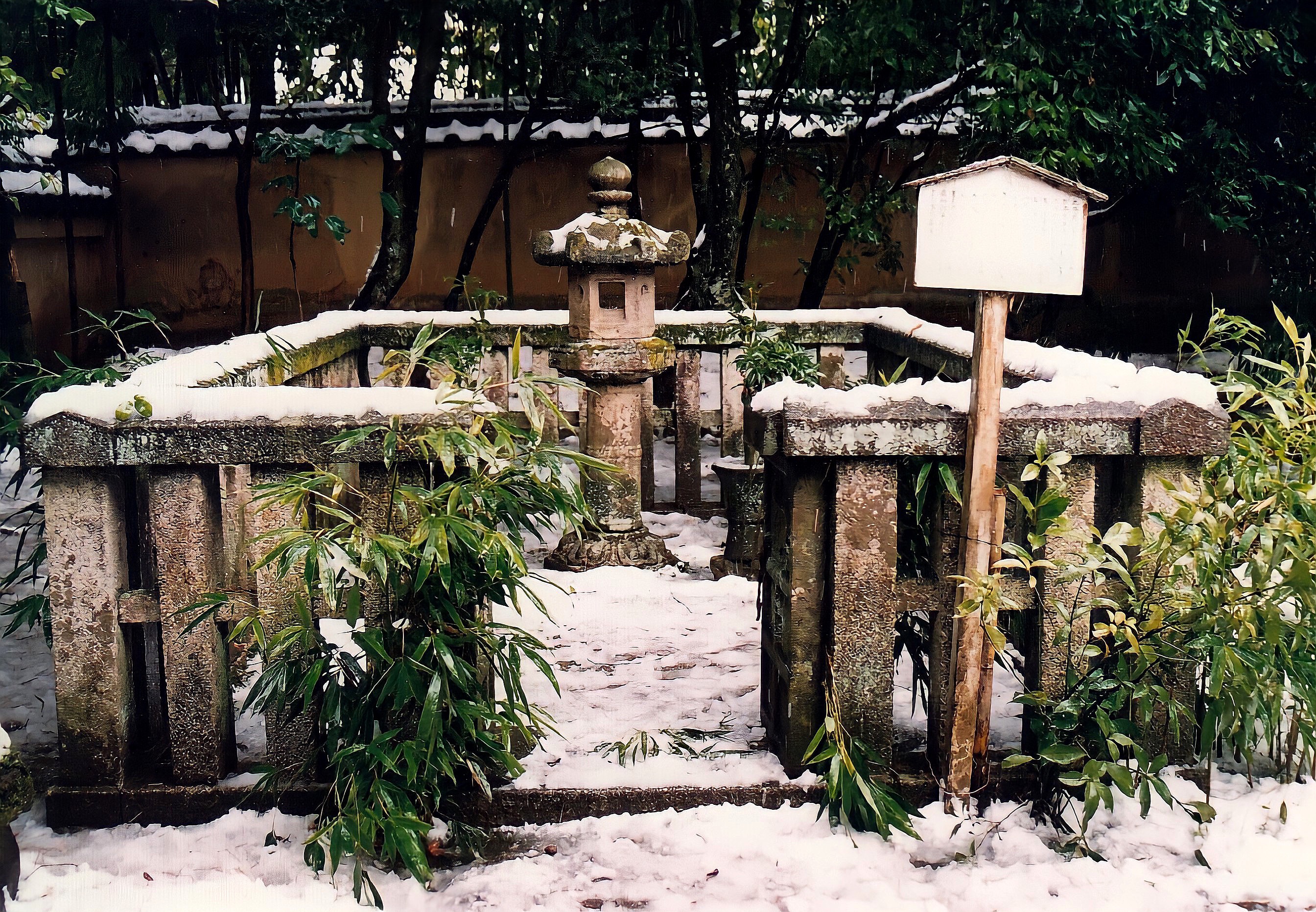 f:id:shinsaku1234t501:20201201204306j:image