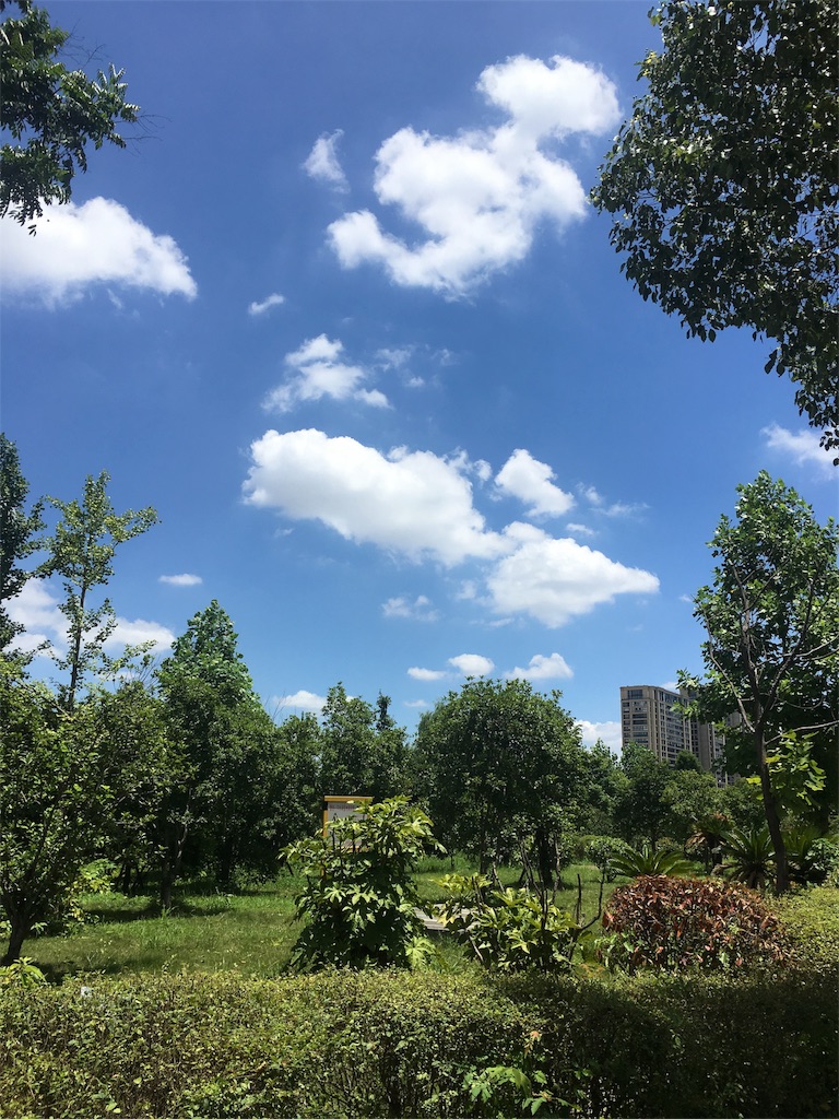 f:id:shinseisei:20180718233405j:image