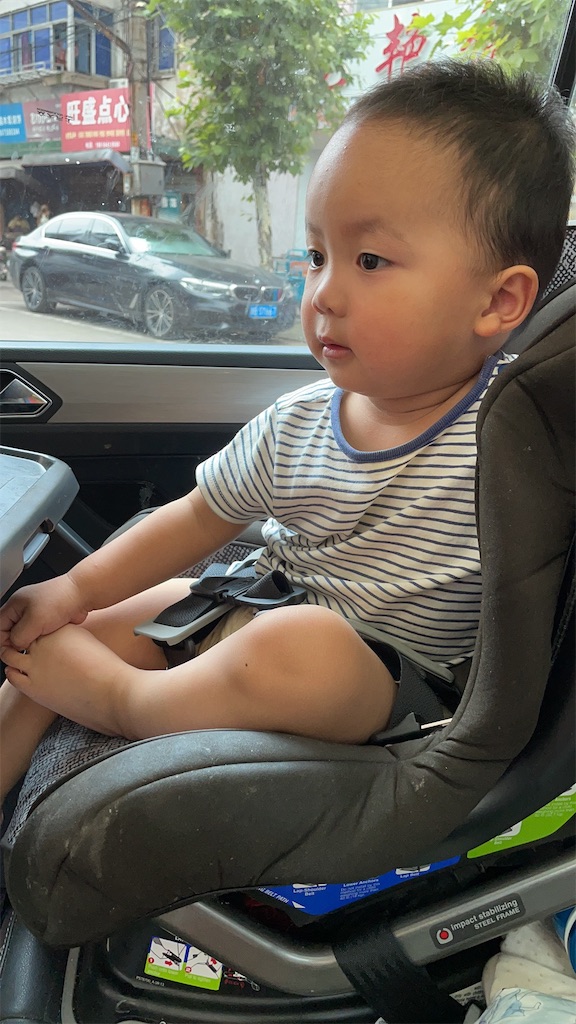 f:id:shinseisei:20210629152802j:image