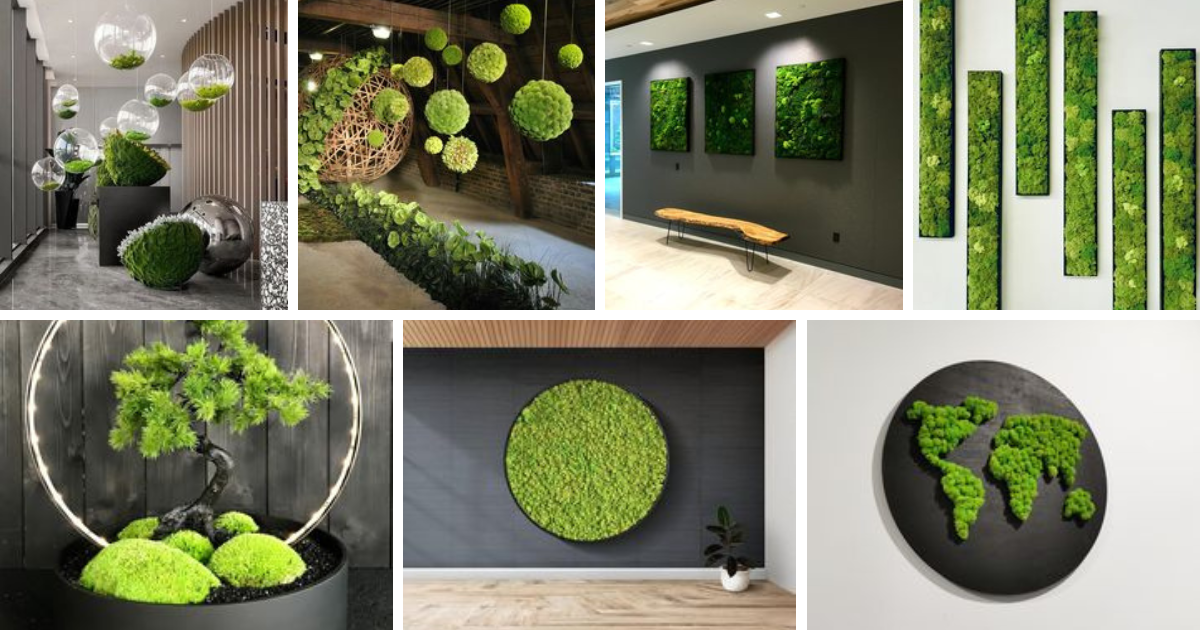 苔（Moss）の魅力 - 家づくりを真剣に考える