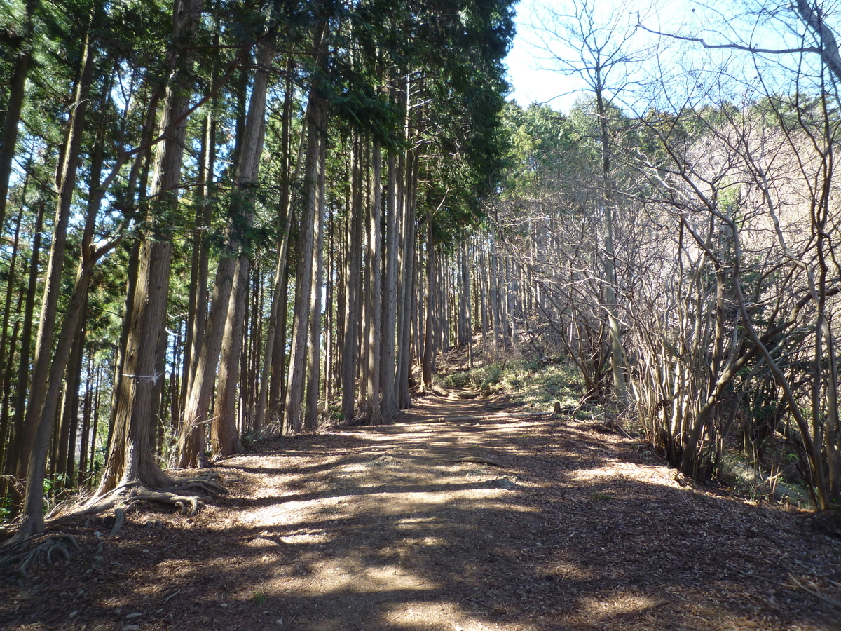 f:id:shinshinryochi:20190326094825j:plain f:id:shinshinryochi:20190326094825j:plain