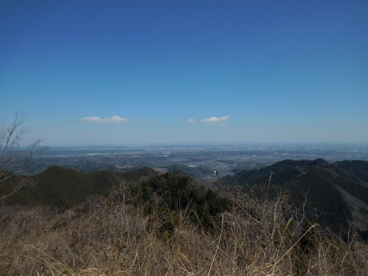 f:id:shinshinryochi:20190326101346j:plain f:id:shinshinryochi:20190326101346j:plain