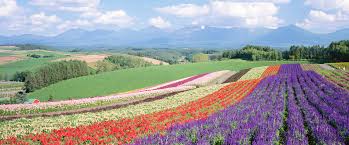 f:id:shinshiro-church:20170511094759j:plain f:id:shinshiro-church:20170511094759j:plain