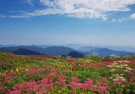 f:id:shinshiro-church:20190513165028j:plain f:id:shinshiro-church:20190513165028j:plain