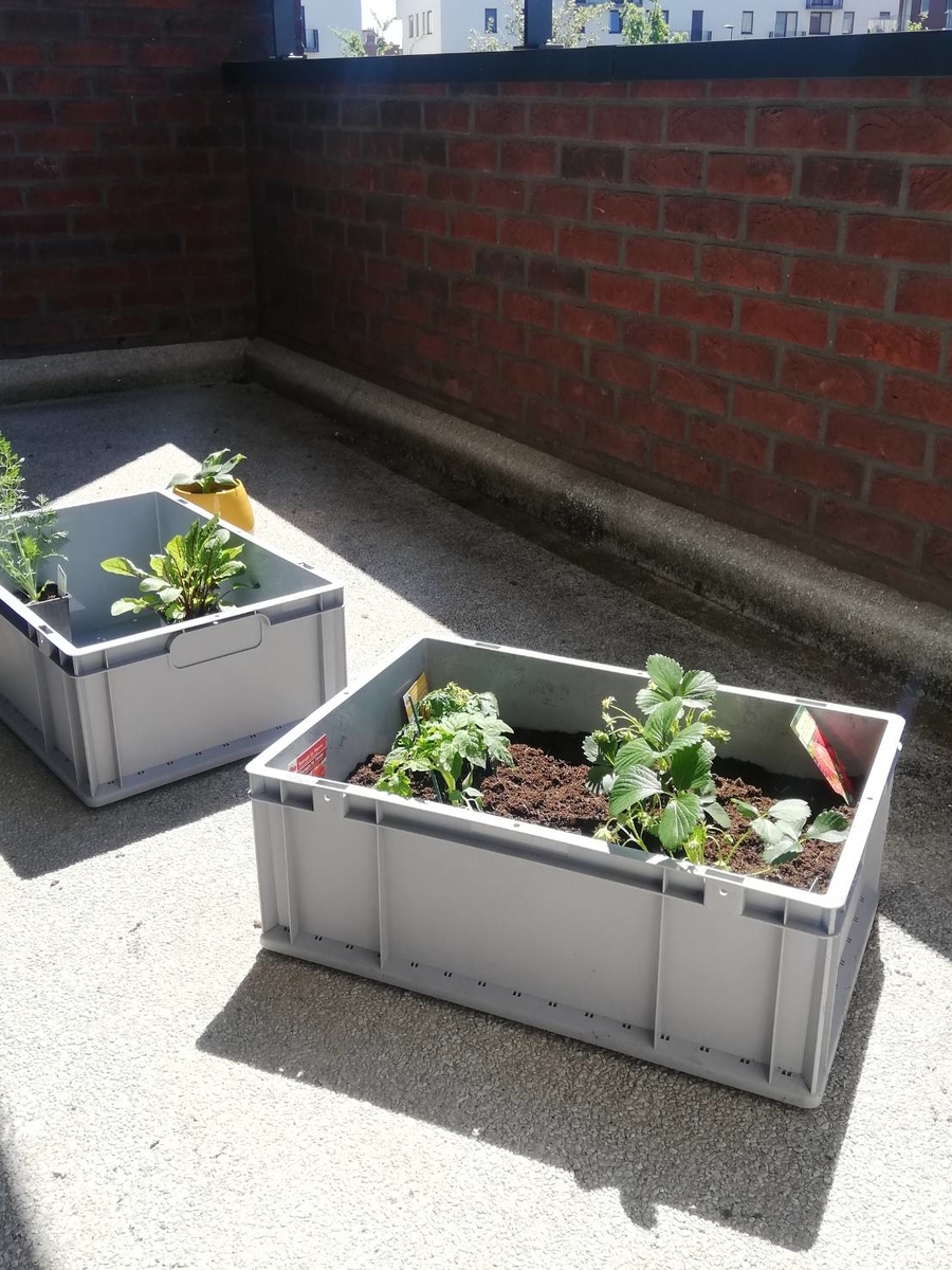 f:id:shinshizue:20200508060123j:plain f:id:shinshizue:20200508060123j:plain