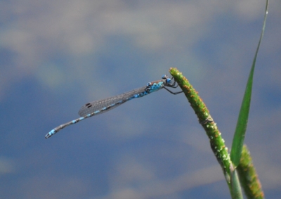 f:id:shinsyu7:20110509103625j:image:w640