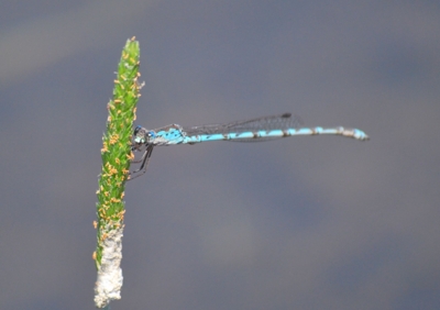 f:id:shinsyu7:20110509161930j:image:w640