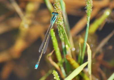 f:id:shinsyu7:20110509164204j:image:w640