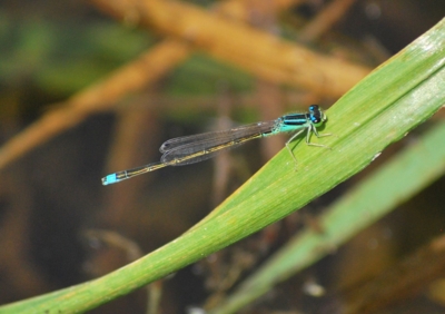 f:id:shinsyu7:20110509164207j:image:w640