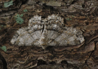 f:id:shinsyu7:20110510150524j:image:w640