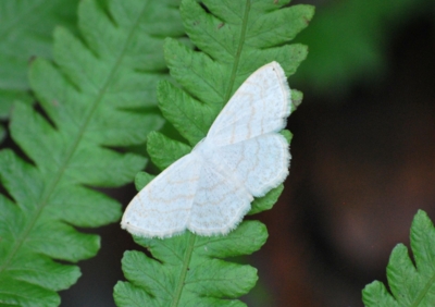 f:id:shinsyu7:20110510150732j:image:w640