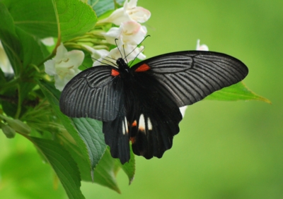 f:id:shinsyu7:20110519191448j:image:w640