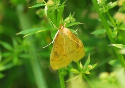 f:id:shinsyu7:20110520101320j:image:w640