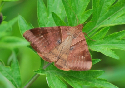 f:id:shinsyu7:20110520101507j:image:w640