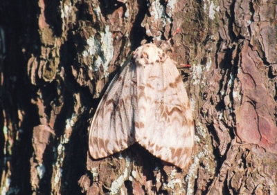 f:id:shinsyu7:20110525164830j:image:w640