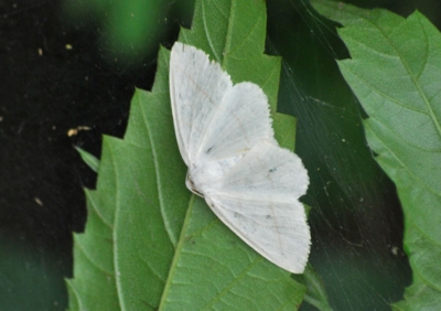 f:id:shinsyu7:20110602155634j:image:w640