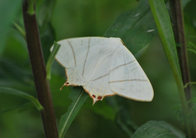 f:id:shinsyu7:20110602155811j:image:w640