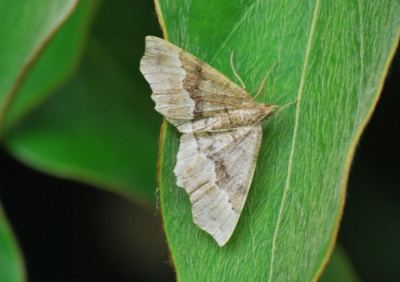 f:id:shinsyu7:20110608143117j:image:w640