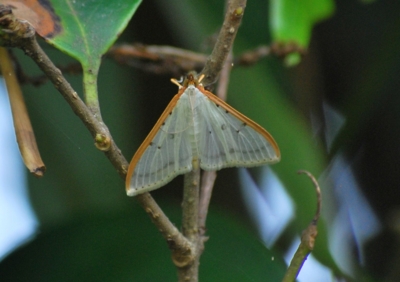 f:id:shinsyu7:20110608143549j:image:w640