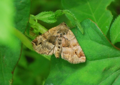 f:id:shinsyu7:20110611163310j:image:w640