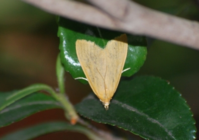 f:id:shinsyu7:20110611170506j:image:w640