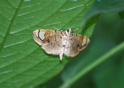 f:id:shinsyu7:20110611170617j:image:w640