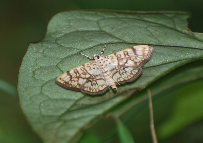 f:id:shinsyu7:20110611170754j:image:w640