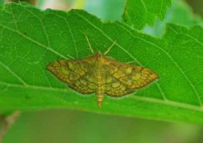 f:id:shinsyu7:20110616180526j:image:w640