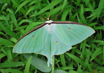 f:id:shinsyu7:20110621163343j:image:w640