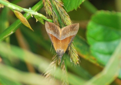 f:id:shinsyu7:20110623161353j:image:w640