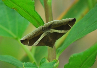 f:id:shinsyu7:20110623161907j:image:w640