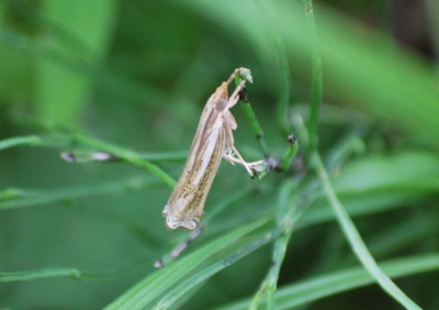 f:id:shinsyu7:20110623162059j:image:w640