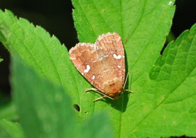 f:id:shinsyu7:20110623162907j:image:w640