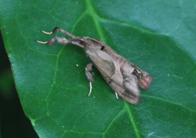 f:id:shinsyu7:20110626172557j:image:w640