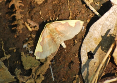 f:id:shinsyu7:20110702122709j:image:w640