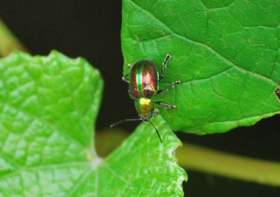 f:id:shinsyu7:20110716161146j:image:w640