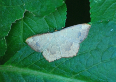 f:id:shinsyu7:20110720163755j:image:w640