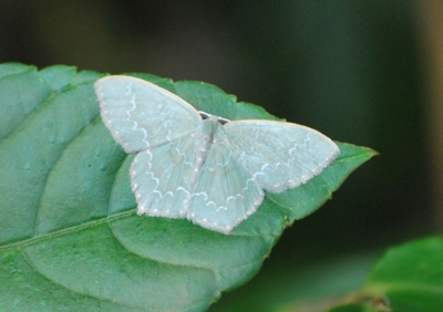 f:id:shinsyu7:20110723161549j:image:w640