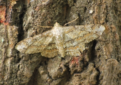 f:id:shinsyu7:20110723162059j:image:w640