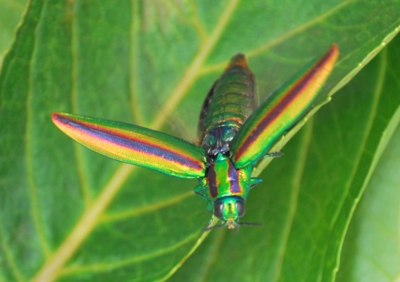 f:id:shinsyu7:20110801180217j:image:w640