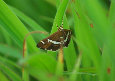 f:id:shinsyu7:20110803124647j:image:w640